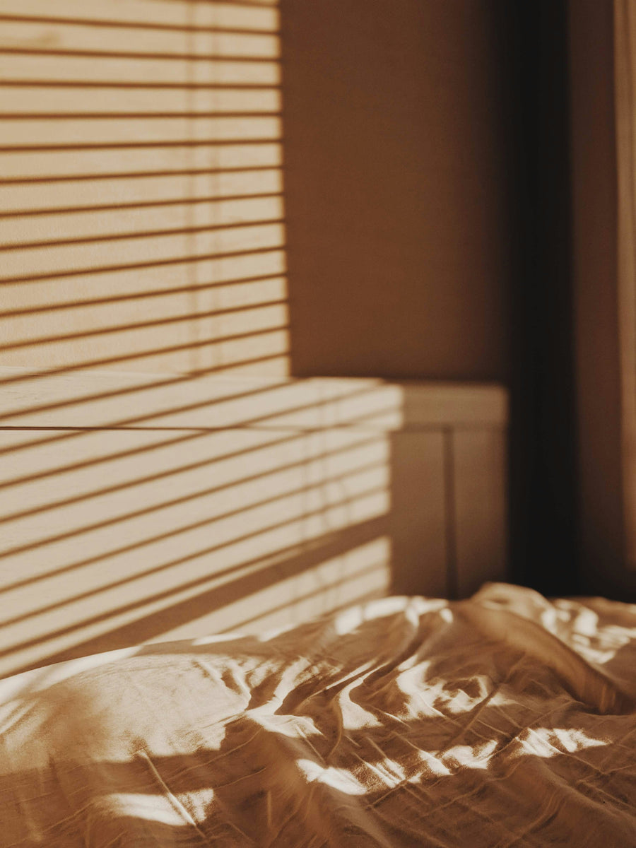 Understanding the Nervous System and Pleasure